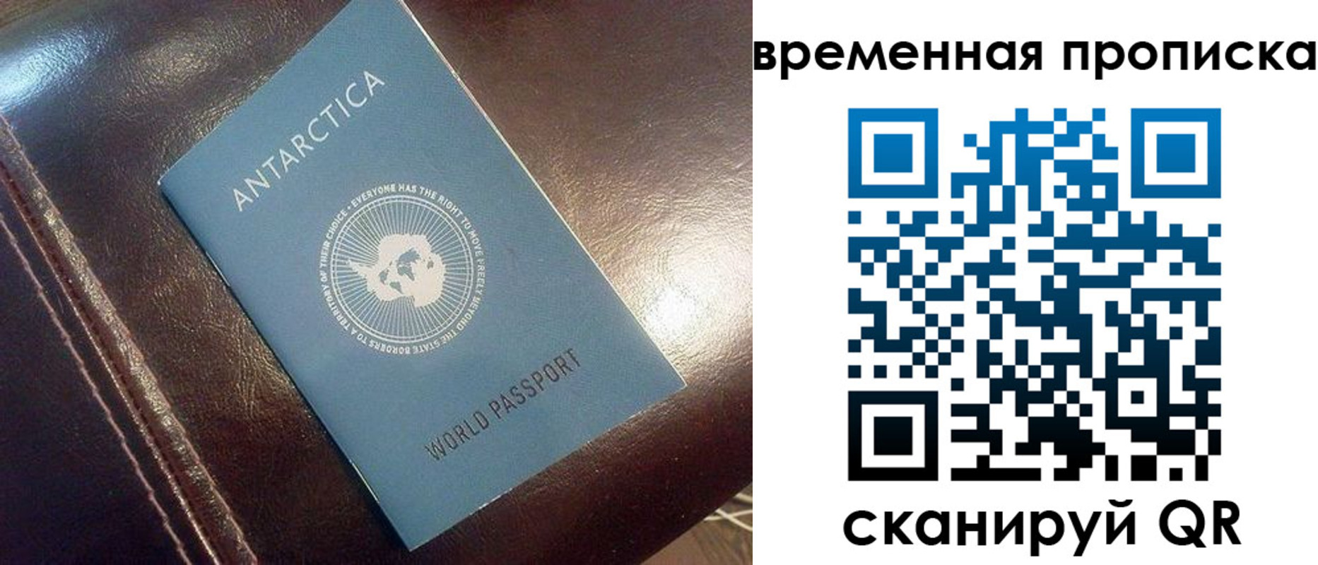 прописка паспорт в Вельске